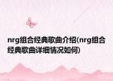 nrg組合經(jīng)典歌曲介紹(nrg組合經(jīng)典歌曲詳細(xì)情況如何)