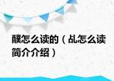 醭怎么讀的（乩怎么讀簡介介紹）