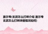 賽爾號(玄武怎么打啊介紹 賽爾號 玄武怎么打啊詳細情況如何)
