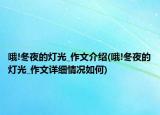 哦!冬夜的燈光_作文介紹(哦!冬夜的燈光_作文詳細(xì)情況如何)