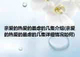 親愛的熱愛的最虐的幾集介紹(親愛的熱愛的最虐的幾集詳細情況如何)