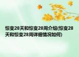 驚變28天和驚變28周介紹(驚變28天和驚變28周詳細(xì)情況如何)