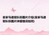 皇家馬德里隊標圖片介紹(皇家馬德里隊標圖片詳細情況如何)