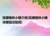 撫順格林小鎮(zhèn)介紹(撫順格林小鎮(zhèn)詳細(xì)情況如何)