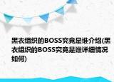 黑衣組織的BOSS究竟是誰(shuí)介紹(黑衣組織的BOSS究竟是誰(shuí)詳細(xì)情況如何)