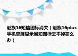 魅族16短信圖標(biāo)消失（魅族16plus手機(jī)息屏顯示通知圖標(biāo)去不掉怎么辦）