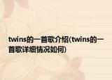 twins的一首歌介紹(twins的一首歌詳細情況如何)