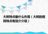 大樹(shù)特點(diǎn)像什么作用（大樹(shù)的相同特點(diǎn)有簡(jiǎn)介介紹）