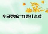 今日更新廣紅是什么菜