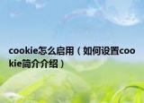 cookie怎么啟用（如何設(shè)置cookie簡介介紹）