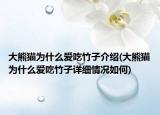 大熊貓為什么愛(ài)吃竹子介紹(大熊貓為什么愛(ài)吃竹子詳細(xì)情況如何)