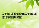 關(guān)于爆丸的游戲介紹(關(guān)于爆丸的游戲詳細(xì)情況如何)