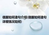 信服如何造句介紹(信服如何造句詳細情況如何)