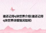 誰還記得q塊世界介紹(誰還記得q塊世界詳細(xì)情況如何)