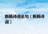 斷腸詩(shī)詞名句（斷腸詩(shī)詞）
