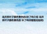 龍井茶葉子顏色黃色的(壞了嗎介紹 龍井茶葉子顏色黃色的 壞了嗎詳細(xì)情況如何)