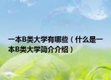 一本B類大學(xué)有哪些（什么是一本B類大學(xué)簡(jiǎn)介介紹）