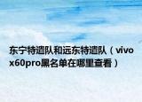 東寧特遣隊(duì)和遠(yuǎn)東特遣隊(duì)（vivox60pro黑名單在哪里查看）