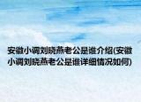 安徽小調(diào)劉曉燕老公是誰介紹(安徽小調(diào)劉曉燕老公是誰詳細(xì)情況如何)