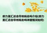 摩力圣匯適合帶爸媽去嗎介紹(摩力圣匯適合帶爸媽去嗎詳細情況如何)