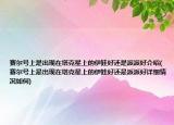 賽爾號上是出現(xiàn)在塔克星上的伊娃好還是派派好介紹(賽爾號上是出現(xiàn)在塔克星上的伊娃好還是派派好詳細(xì)情況如何)