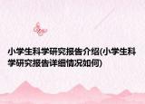 小學(xué)生科學(xué)研究報(bào)告介紹(小學(xué)生科學(xué)研究報(bào)告詳細(xì)情況如何)