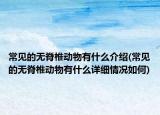 常見的無脊椎動物有什么介紹(常見的無脊椎動物有什么詳細情況如何)