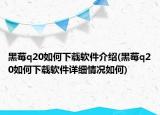 黑莓q20如何下載軟件介紹(黑莓q20如何下載軟件詳細(xì)情況如何)