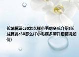 長(zhǎng)城騰翼c30怎么樣小毛病多嘛介紹(長(zhǎng)城騰翼c30怎么樣小毛病多嘛詳細(xì)情況如何)