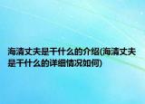 海清丈夫是干什么的介紹(海清丈夫是干什么的詳細情況如何)