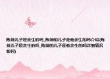陳坤兒子是親生的嗎_陳坤的兒子是他親生的嗎介紹(陳坤兒子是親生的嗎_陳坤的兒子是他親生的嗎詳細情況如何)