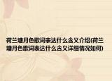 荷蘭塘月色歌詞表達什么含義介紹(荷蘭塘月色歌詞表達什么含義詳細情況如何)
