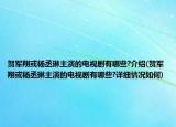 賀軍翔或楊丞琳主演的電視劇有哪些?介紹(賀軍翔或楊丞琳主演的電視劇有哪些?詳細(xì)情況如何)