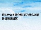 熊為什么冬眠介紹(熊為什么冬眠詳細情況如何)
