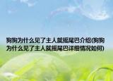 狗狗為什么見(jiàn)了主人就搖尾巴介紹(狗狗為什么見(jiàn)了主人就搖尾巴詳細(xì)情況如何)