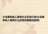 火龍果和仙人掌有什么區(qū)別介紹(火龍果和仙人掌有什么區(qū)別詳細(xì)情況如何)