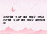 求自由飛翔‘無人聲’原版‘純伴奏’介紹(求自由飛翔‘無人聲’原版‘純伴奏’詳細(xì)情況如何)
