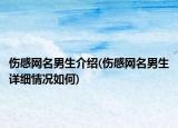 傷感網(wǎng)名男生介紹(傷感網(wǎng)名男生詳細(xì)情況如何)