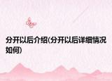 分開(kāi)以后介紹(分開(kāi)以后詳細(xì)情況如何)