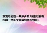 敢愛電視劇一共多少集介紹(敢愛電視劇一共多少集詳細情況如何)