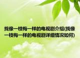 找像一枝梅一樣的電視劇介紹(找像一枝梅一樣的電視劇詳細(xì)情況如何)