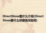 DirectShow是什么介紹(DirectShow是什么詳細情況如何)
