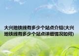 大興地鐵線有多少個(gè)站點(diǎn)介紹(大興地鐵線有多少個(gè)站點(diǎn)詳細(xì)情況如何)