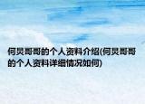 何炅哥哥的個人資料介紹(何炅哥哥的個人資料詳細情況如何)