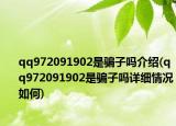 qq972091902是騙子嗎介紹(qq972091902是騙子嗎詳細情況如何)