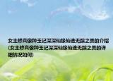 女主修真像種玉記深深仙緣仙途無蹤之類的介紹(女主修真像種玉記深深仙緣仙途無蹤之類的詳細情況如何)