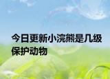 今日更新小浣熊是幾級保護動物
