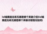 lol暗黑魔龍希瓦娜是哪個(gè)英雄介紹(lol暗黑魔龍希瓦娜是哪個(gè)英雄詳細(xì)情況如何)