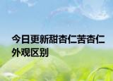 今日更新甜杏仁苦杏仁外觀區(qū)別