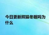 今日更新熊貓冬眠嗎為什么